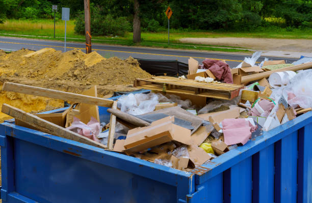 Best Dumpster Rental Services  in Pharr, TX